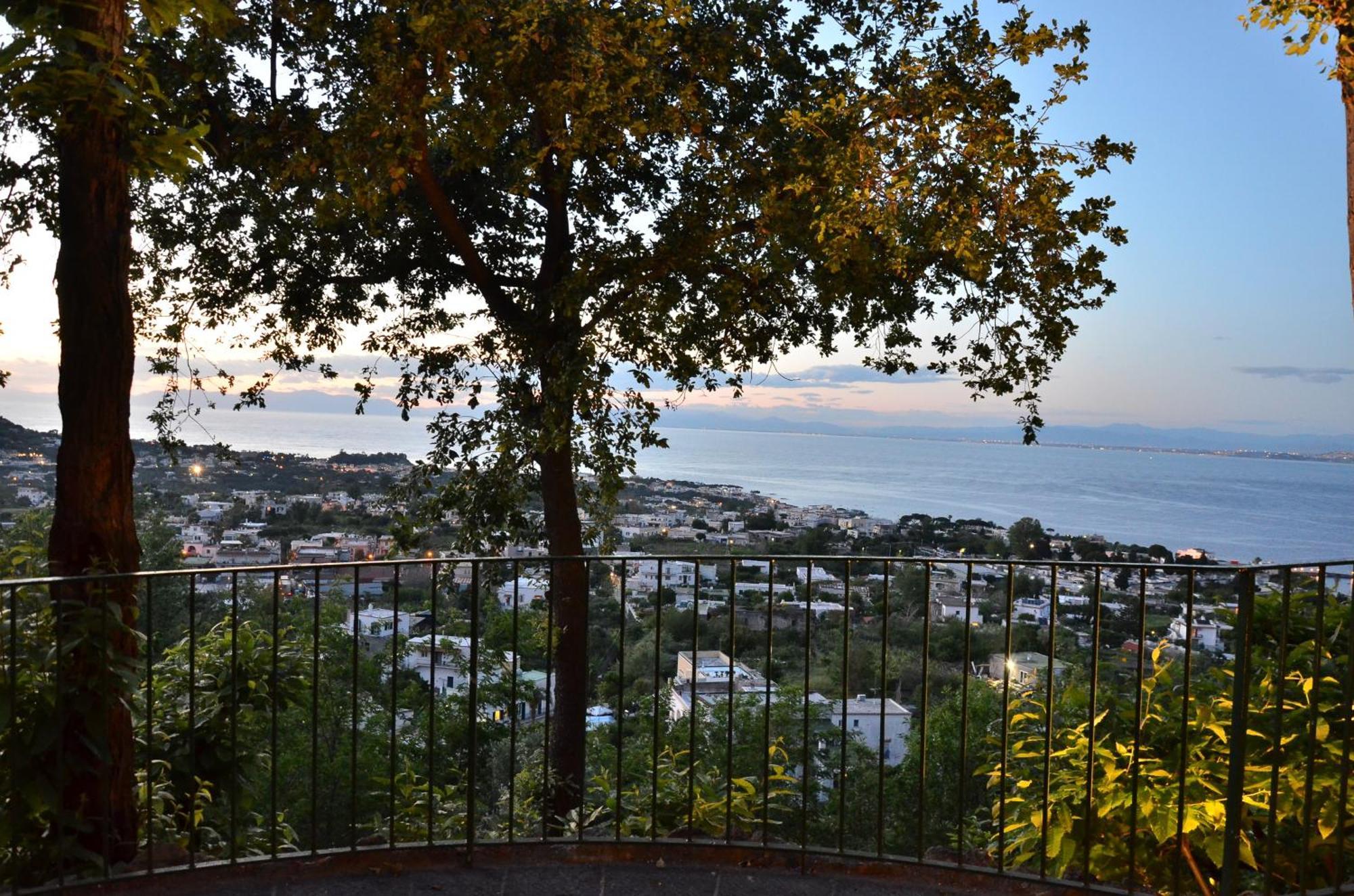 La Capannina - Hotel & Apartments Ischia Luaran gambar